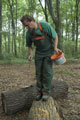 Click to see it big Ich mit Kettensäge, Impression aus dem Wald